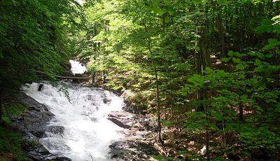 Parco Naturale Zall Gjocaj - Diber